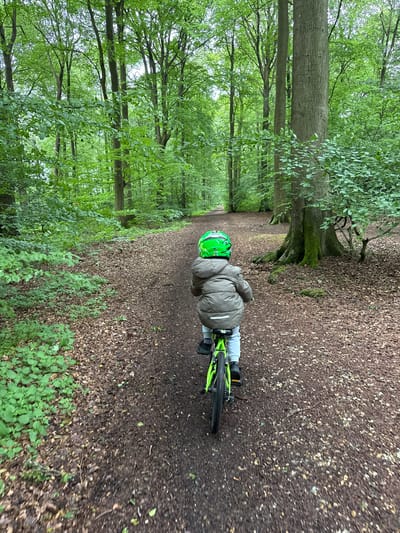 A child wearing a green helmet and an olive-green padded jacket is observed from behind, riding a bright green bicycle along a dirt path through a dense forest in Hazlemere, United Kingdom. The path, covered with brown fallen leaves and soil, recedes into the distance, flanked by abundant green undergrowth and tall, slender deciduous trees with light gray bark and vibrant green canopies. A prominent tree trunk with moss-covered roots is visible to the right of the path in the mid-ground. The lighting suggests an overcast day, providing diffused illumination to the scene. The child's bicycle wheels and the immediate ground show slight motion blur, indicating forward movement.
