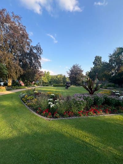 This is a vertical, wide shot of a park or garden on a sunny day. The foreground is dominated by a vibrant flower bed, featuring a mix of red, white, and yellow flowers, as well as tall, dark green leaves of a Canna lily. The flower bed is bordered by a neatly trimmed green lawn. Beyond the lawn, trees with lush green foliage form a backdrop, suggesting a well-maintained park. In the distance, hints of buildings with red roofs can be seen peeking through the trees, and a lamppost is visible on the path. The sky above is a clear, bright blue with a few wispy white clouds. The lighting suggests it is late afternoon, with long shadows cast across the grass. The overall mood is peaceful and serene, characteristic of a pleasant day in a garden. No people or text are visible in the image. The location context is Wassenberg, Germany.