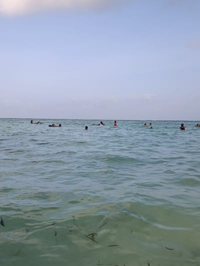 The image depicts a coastal scene in the Makadara/Mji Wa Kale ward, Kenya. Approximately 15 to 20 individuals are observed in a greenish-blue body of water under a light blue sky with minimal cloud cover. The water surface exhibits ripples and small waves, with dark strands of seaweed or sea grass floating in the foreground. The individuals, primarily visible from the shoulders up, are dispersed across the midground, engaged in swimming or wading activities. Most wear dark-colored swimwear; one person on the far right wears a red top. One individual on the left side appears to be utilizing a light-colored flotation object. No distinct interactions or specific objects beyond the aforementioned are clearly discernible.