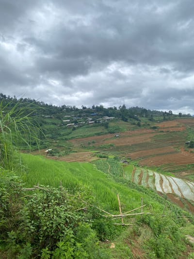 The image displays a panoramic view of terraced agricultural fields and a rural village situated on mountainous terrain in Dế Xu Phình, Vietnam. The sky is entirely overcast, filled with dense, dark grey clouds.

In the foreground, lush green vegetation predominates, featuring tall, reedy grasses on the left and a variety of smaller bushes and plants in the lower center. A rudimentary bamboo fence structure is visible in the lower-middle section.

The mid-ground reveals extensive rice terraces carved into the hillsides. Many of these terraces are vibrant green, indicating active cultivation of young rice paddies, often containing reflective standing water. Other terraces consist of exposed reddish-brown soil, appearing recently tilled or prepared for planting. Several small, simple wooden huts or shelters are sparsely distributed within the terraced fields. On one of the reddish-brown terraces in the mid-right, several small, indistinct figures, likely human, are observable, suggesting agricultural activity.

Further up the slope, a village is visible, characterized by numerous small structures with dark-colored roofs and lighter walls, nestled among dense green trees. The overall environment is rural, mountainous, and actively agricultural.