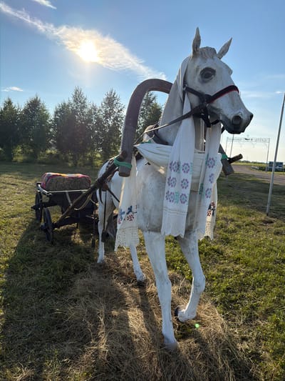In the city of Аргамак, Russia, a white, life-sized horse sculpture stands in a grassy field under a bright, sunny sky with some clouds. The horse is decorated with a white embroidered cloth draped around its neck and over its back. A traditional wooden shaft harness is attached to the sculpture, connecting it to a two-wheeled cart. The cart, loaded with a bale of hay covered by a colorful blanket, is positioned behind the horse. Trees form a backdrop to the scene, and a road with a white archway is visible in the distance. The overall impression is of a static, decorative display, possibly for a local festival or event, set against a rural landscape bathed in sunlight.