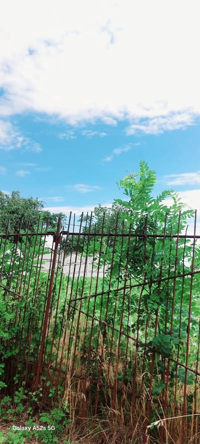 The image depicts a close-up view of a rusty, vertical bar fence in Vilna Tereshkivka, Ukraine. The fence is made of rebar and is partially obscured by overgrown green foliage and dry grass. In the background, beyond the fence, there are trees and a bright blue sky with scattered white clouds. A white structure, possibly a building, is faintly visible through the fence. The bottom left corner of the image displays the text "Galaxy A52s 5G". There are no people or animals visible in the scene.