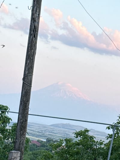 A wooden utility pole stands in the foreground, its weathered surface etched with vertical grain. A wire is wrapped around the pole multiple times, forming a coil. In the background, a distant mountain peak is visible through a hazy atmosphere, its summit possibly snow-capped. The sky above is a soft blend of light blue and pale pink, with scattered clouds tinged by the same rosy hue. The landscape below the mountain consists of rolling hills, dotted with trees and what appears to be a small settlement with red-roofed buildings. Green foliage from trees in the foreground partially obscures the view of the landscape.