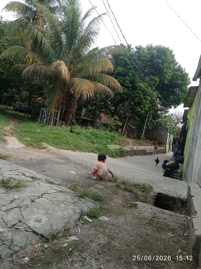 This media file captures an outdoor scene in Sukaraja, Indonesia. In the foreground, a young child is sitting on a paved surface, facing away from the camera. The child is wearing a light-colored, tie-dyed outfit. Behind the child, a dirt and asphalt road curves into the distance. To the left, a large palm tree with coconuts is prominent, surrounded by lush green foliage.

Further into the scene, there are various objects and structures, including what appear to be discarded metal frames, a small shack, and a pile of black trash bags next to a building with a light green wall on the right side of the image. A rooster is walking on the road in the middle ground. The setting suggests a rural or semi-rural residential area, with houses and dense vegetation visible. Power lines crisscross the sky above the trees.

The lighting suggests it is daytime, possibly late afternoon given the soft shadows. The overall atmosphere appears to be casual and everyday. The visible text in the lower right corner reads "25/06/2026 15:12", indicating the date and time the photo was taken.