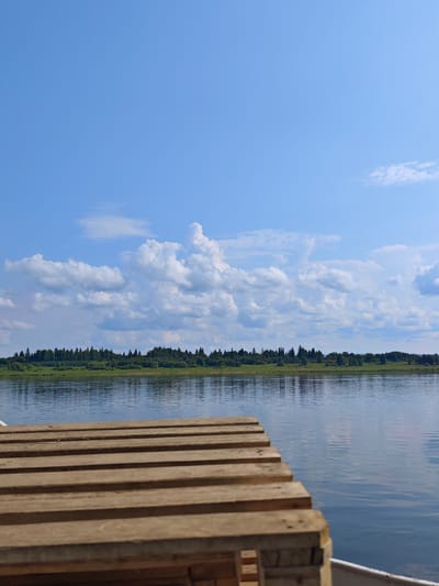 A wooden dock extends into a body of water, reflecting the blue sky and scattered clouds. Beyond the water, a lush green shoreline is lined with a dense forest of trees. The scene suggests a serene, natural environment, possibly a lake or river, under a bright, sunny day in Novonazimovo, Russia. There are no people or animals visible in the image.