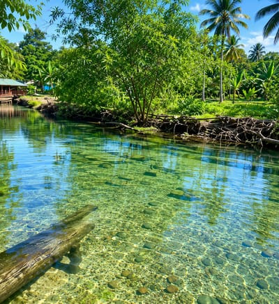 This image depicts a crystal-clear, shallow river flowing through a lush, tropical environment. The riverbed is visible, covered with smooth, rounded stones and pebbles, with some aquatic plants scattered throughout. A large, waterlogged tree trunk lies partially submerged in the foreground. The river banks are densely vegetated with various shades of green foliage, including palm trees and smaller trees and shrubs. In the background, a wooden building with a red roof is partially visible among the trees, suggesting a dwelling or a small resort. The sky is a bright blue with a few scattered clouds. The scene is tranquil and natural, indicative of a peaceful riverside setting. The location is identified as Silaiyajae, Indonesia. There are no people or animals visible in the image.
