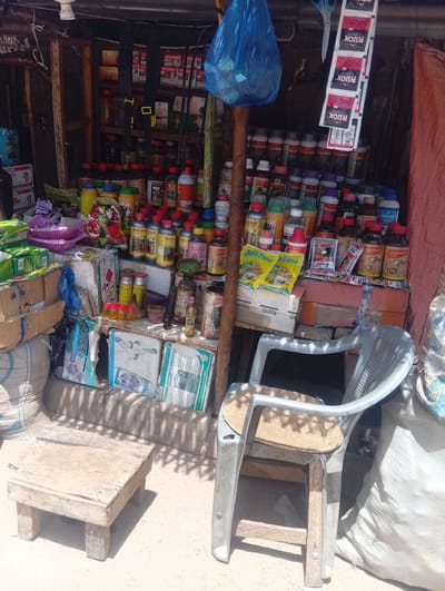 This image captures a detail of an outdoor agricultural supply stall located in Birnin Kudu, Nigeria. The stall is constructed from rough wooden beams and appears to have a corrugated metal roof. The ground is dirt, and strong sunlight casts distinct shadows.

The primary subject is an extensive display of various agricultural chemicals and supplies. Numerous plastic bottles of different sizes, primarily with red, green, blue, and yellow caps, are arranged on wooden shelves and stacked on cardboard boxes. Notable product labels visible include "Rocket," "ROYAMDA," "ROYAP," "CYPEFORCE," "Buta Force," and "Force UP," suggesting pesticides, herbicides, or fertilizers. Hanging prominently from the roof structure are strips of small red and black sachets labeled "PESTOX," alongside a pair of blue-handled scissors. In the background, boxes labeled "HOT PURSUIT" and "Feed Care" are also visible.

Below the main display, several cardboard boxes, some showing hazard symbols, are stacked. There are also smaller plastic containers, a blue plastic bag, and a few purple plastic baskets. On the ground to the left, a large woven sack is present, and another white sack is visible on the far right.

In the foreground, a small, rustic wooden stool with four legs sits on the dirt ground to the left. To the right, a light grey plastic chair with a woven mat seat cushion is positioned. No individuals are visible in the scene.