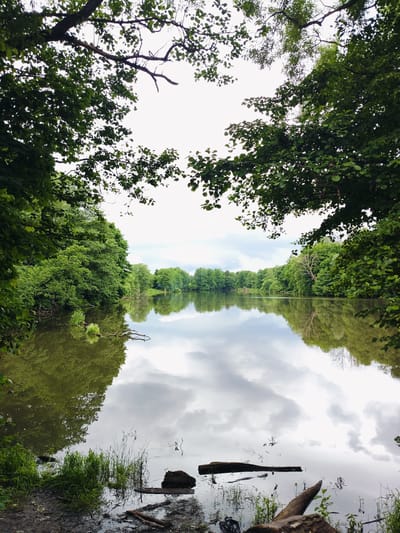 This media file depicts a serene natural landscape at a lake, likely located in Skurygino, Russia. The scene is dominated by the tranquil water reflecting the overcast sky and the lush greenery that surrounds the lake. The foreground shows the muddy bank with scattered logs and reeds, suggesting a somewhat wild and undeveloped natural setting.
The upper portion of the image is framed by the dense foliage of trees, with their branches reaching towards the sky. The leaves are a vibrant green, indicating a time of year during spring or summer. The lake itself is calm, with its surface acting as a mirror, reflecting the cloudy sky and the verdant trees lining the opposite shore. The reflection of the trees is clear, creating a symmetrical and peaceful visual effect.
Several pieces of driftwood and logs are visible in the water near the bank, adding a touch of natural imperfection to the otherwise pristine scene. The sky is mostly covered with clouds, suggesting a mild or possibly humid day. The overall mood of the image is one of tranquility and natural beauty, inviting the viewer to imagine a peaceful escape. There is no visible text in the image.