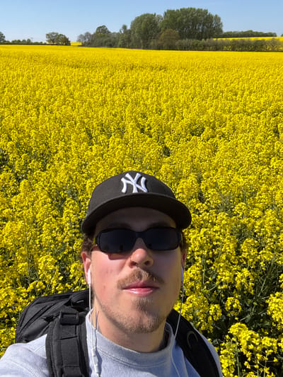 A medium shot shows a man from the chest up, taking a selfie in a field of yellow flowers. The location is plausibly in North Hertfordshire, United Kingdom, given the landscape and time of year.
The man is wearing a grey long-sleeved shirt, a black backpack, black sunglasses, and a black baseball cap with a white "NY" logo. He has a trimmed beard and mustache. White earbud headphones are visible. The field of flowers stretches into the distance, with a line of trees visible in the far left. The sky is clear and blue.
