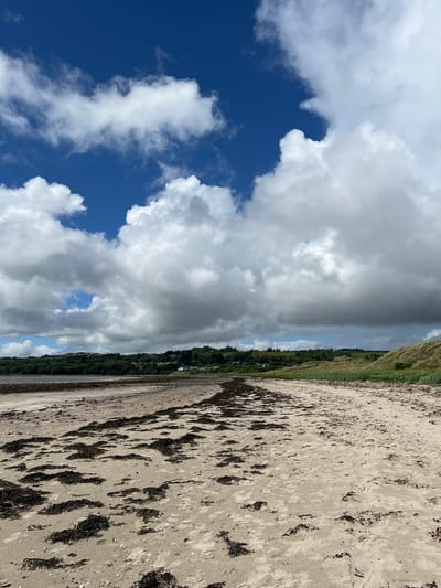 This image depicts a serene beach scene with a vast expanse of sand and a dramatic sky. The sand is light brown and stretches out across the foreground, marked with scattered dark seaweed. Beyond the sand, a strip of green grass and foliage lines the horizon, suggesting a coastal landscape. In the distance, a hint of buildings and trees can be seen, hinting at a settlement.
The sky is a prominent feature, divided into two distinct sections. On the left, a bright blue sky is dotted with fluffy white clouds, suggesting fair weather. However, on the right, the sky is dominated by heavy, dark gray clouds, hinting at an approaching storm or overcast conditions. This contrast in the sky creates a dynamic visual element.
The image is oriented vertically, giving a sense of looking up towards the sky and out towards the horizon. The lighting suggests it could be midday, with the sun breaking through some of the clouds. The overall mood is one of natural beauty and the powerful presence of the elements. No people or specific objects are clearly visible, emphasizing the landscape itself. The location cues from "Dunuisce, Ireland" suggest a coastal setting in Ireland. There is no visible text in the image.