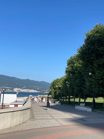 This is a vertical, eye-level outdoor photograph taken during the daytime on a clear, sunny day. The scene depicts a picturesque waterfront promenade with a tree-lined walkway and a view of a distant mountain range and a body of water.

The foreground features a paved walkway with a patterned design of grey and reddish-brown rectangular tiles. Several white benches are strategically placed along the walkway, some occupied by people. A line of lush green trees with full canopies runs along the left side of the walkway, casting dappled shadows. Beyond the trees, a well-maintained grassy area is visible.

Several people are scattered along the promenade, some walking and others seated on the benches, enjoying the view. They are casually dressed, suggesting a relaxed atmosphere. A woman in a dark dress and a man in a white shirt and shorts are visible near the front of the promenade, while a group of people are seated on a bench further down.

In the background, a vast expanse of calm blue water stretches towards a mountainous coastline. The mountains are covered in a mix of green vegetation and rocky outcrops. A town or city is visible along the shoreline at the base of the mountains, with numerous buildings and structures, possibly indicating a port or coastal settlement.

Notable details include the bright blue sky, the strong sunlight creating distinct shadows, and the orderly arrangement of trees and benches, suggesting a well-developed public space. The overall mood of the image is peaceful and serene, with people enjoying a leisurely day outdoors. There is no visible text in the image.