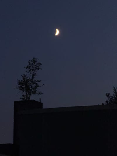 The image captures a nighttime scene with a crescent moon positioned in the upper right quadrant of the dark blue sky. In the lower portion of the image, a silhouetted building with a flat roof runs horizontally across the frame. On the left side of the building, a chimney-like structure is visible, topped with a silhouette of a tree. Another tree silhouette is partially visible on the far right edge of the building. The overall atmosphere is dark and quiet, suggesting an urban or suburban setting at night, potentially in Neumünster, Germany, although no specific landmarks confirm this location.
