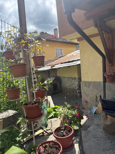 The image shows a collection of potted plants on a multi-tiered white metal stand. The pots are mostly brown terracotta, containing various plants, some with yellow flowers and others with pink flowers. The background shows a glimpse of a yellow building with a tiled roof and a window. Part of a stone wall and a dog house are also visible. Above the scene, there is a fragment of a roof structure with a rain gutter. The scene is illuminated by sunlight. The location appears to be an outdoor setting, likely a balcony or garden in Delchevo, Bulgaria. There are no people visible in the image.