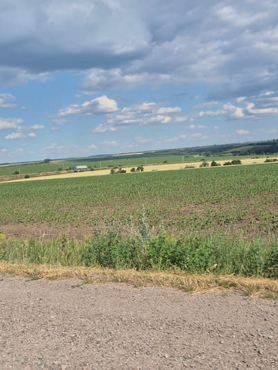 The image depicts a wide agricultural landscape under a partly cloudy sky. In the foreground, a gravel road runs horizontally, bordered by a strip of dry grass and green vegetation. Beyond this, a large field of young green crops, possibly corn, stretches into the middle ground. Further in the distance, a light yellow field is visible, and beyond that, rolling hills covered with trees and more fields create a layered effect. A blue truck is seen driving on a road in the middle distance, traversing the landscape. The sky is a mix of blue patches and scattered white and gray clouds, indicating fair weather with some cloud cover. The scene suggests a rural setting in Ukraine, likely within the agricultural region surrounding Pidhaitsi.