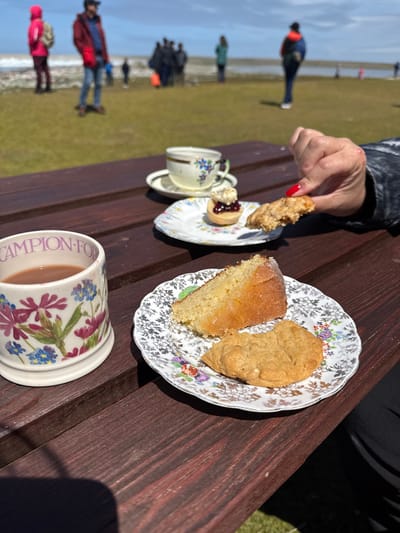 A picnic scene with tea and treats. A slice of cake and a biscuit sit on a floral patterned plate, while a scone with jam and cream is on another. A floral mug of tea and a teacup complete the set. A hand with red nail polish holds a piece of food. In the background, blurred people walk on a green field near water under a blue sky. The picnic is on a dark wood picnic table.