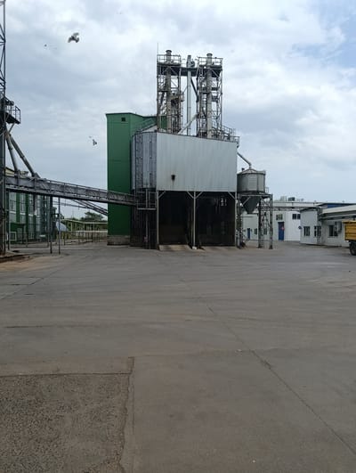 An outdoor, medium-shot, eye-level, vertical, daytime photograph depicts a grain elevator facility in Раснянскі сельскі Савет, Belarus. The facility is comprised of several interconnected structures, including a tall, multi-story metal and green building at the center, a smaller, silver silo to its right, and a long, elevated conveyor belt system extending from the left. The structures are constructed with industrial materials like metal siding and framework. The foreground is dominated by a wide, paved area with visible seams and some scattered debris. In the background, other industrial buildings with windows and doors are visible, along with a portion of a yellow truck. The sky is overcast with scattered clouds. Several birds are in flight against the sky.