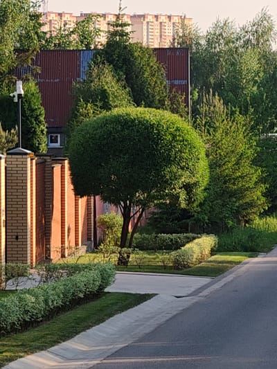 The photograph depicts a residential scene in Mikhnevo, Russia. In the foreground is a paved road with a concrete curb and a strip of grass separating it from a walkway. A row of bushes lines the walkway. Beyond this is a brick fence with evenly spaced pillars, and a security camera is mounted on a pole beside the fence. Behind the fence, there is a round, pruned tree in the center of the frame. Behind the tree is a building with a dark-colored corrugated metal roof and a small window. In the background, tall buildings rise above the trees. The sky is clear.