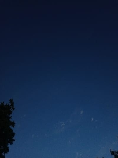The image depicts a dark blue sky with a few wispy clouds, likely taken at dusk or dawn. On the left side of the frame, the dark silhouette of tree branches with leaves is visible, extending partially into the sky. On the right side, another tree is partially visible, also silhouetted against the sky. There are no people or man-made structures clearly discernible in the image. The scene appears to be an outdoor natural environment.