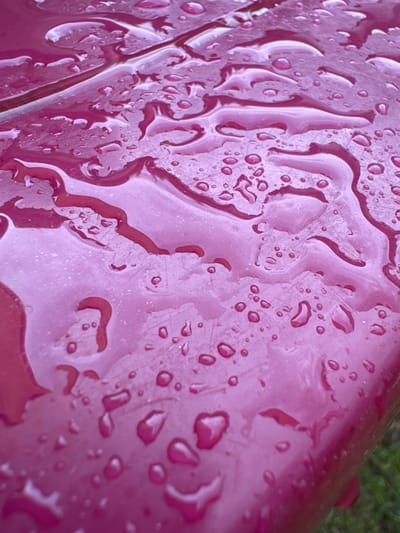 The image is a close-up, high-angle shot of water droplets on a pink, textured surface, possibly plastic or painted metal. The surface appears to be part of an outdoor object, as indicated by the blurred green grass visible in the lower right corner. The water forms various shapes, from tiny beads to larger, interconnected pools, reflecting the light and creating a glossy appearance. The pink surface shows some scuff marks and imperfections beneath the water. There are no people or animals visible in the image. The scene is an abstract study of light, water, and texture on an everyday object.