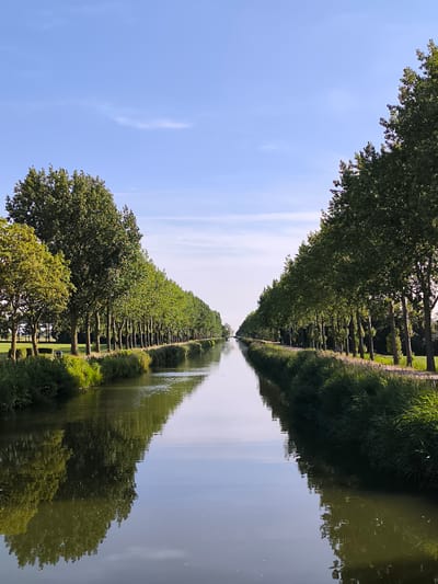This is a vertical, eye-level, medium shot photograph of a canal in the city of Zuidschermer, Netherlands. The canal is flanked by long rows of mature, deciduous trees on both sides, creating a strong sense of symmetry and perspective. The trees have full, green canopies and their reflections are visible in the calm water of the canal, which occupies the lower half of the image. The sky above is a clear, pale blue with a few wispy white clouds. The left bank of the canal shows a grassy field with some smaller trees in the distance, while the right bank has a paved path or road running alongside the treeline, with some signs of human activity such as a distant lamppost and a pedestrian. The overall scene conveys a sense of tranquility and natural beauty within an engineered waterway.