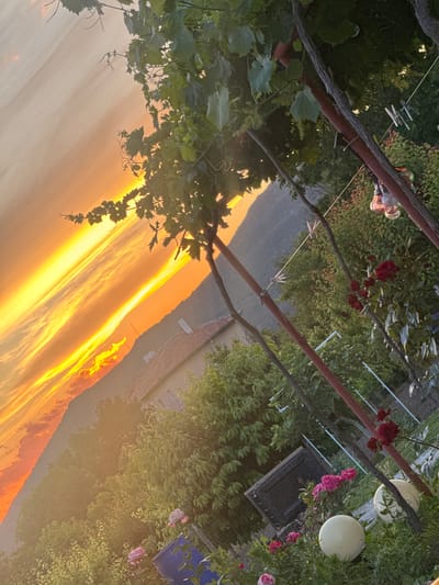 This image depicts a sunset over the city of Srednia, Bulgaria. The sky is a vibrant orange and yellow, with streaks of clouds suggesting the sun is low on the horizon. In the foreground, lush green foliage and the branches of a grapevine are visible, with some pink and red roses blooming. A few bare light bulbs hang from a wire, and clothespins are clipped to a line. In the background, a hillside is covered in trees, and the roof of a building is visible. The overall scene is tranquil and picturesque, capturing the beauty of a summer evening in the Bulgarian countryside.