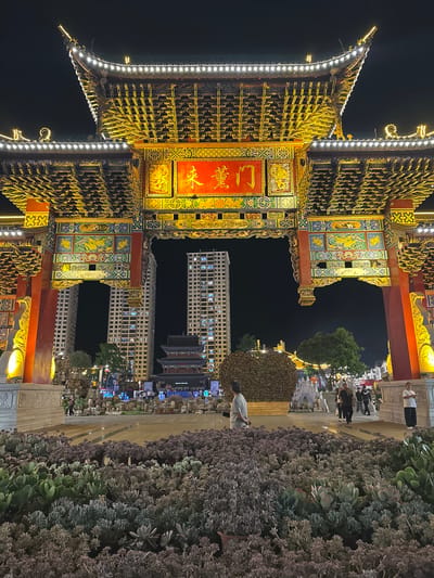 The image captures the illuminated entrance archway of Eshan Yi Autonomous County in Yunnan Province, China, at night. The archway is ornately decorated with traditional Chinese architectural elements, including intricate carvings, golden embellishments, and colorful painted details. Red columns support the grand structure, which is further highlighted by strings of white lights. In the background, modern high-rise buildings with illuminated windows stand in stark contrast to the traditional architecture. A square area in front of the archway features decorative stone arrangements and a large, rounded, textured sculpture. Several people are visible in the square, walking and observing. In the foreground, a dense planting of succulents in various shades of green, purple, and gray creates a lush border. The overall scene depicts a blend of historical and contemporary elements in a public space.