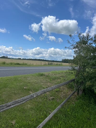 The image depicts a roadside scene in Холстаўскі сельскі Савет, Belarus, on a bright, partly cloudy day. In the foreground, a weathered wooden fence runs diagonally across the frame, its rough-hewn timbers showing signs of age. To the right of the fence, a leafy green tree with some yellow foliage stands tall. Beyond the fence and tree, a paved road with a white line marking runs horizontally, disappearing into the distance. The roadside is lined with green grass and some dry stalks. In the middle ground, a harvested field, appearing golden brown, stretches towards a line of trees in the background. The sky above is a vibrant blue, dotted with fluffy white cumulus clouds, some of which are elongated and wispy, suggesting a gentle breeze. There are no people or animals visible in the scene. The overall impression is one of a rural, serene landscape under a dynamic sky.