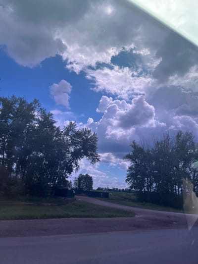 The image captures a rural landscape under a dramatic sky. A dirt road forks, leading into a grassy area with scattered trees and some small, utilitarian structures, possibly sheds or outbuildings, painted in dark colors. The trees, predominantly deciduous, are full of leaves, with two larger trees framing the foreground on either side. The sky is a striking mix of deep blue patches and large, billowing clouds in shades of gray and white, some illuminated from behind, suggesting either early morning or late afternoon light. The overall impression is one of natural beauty and quiet seclusion in a rural setting.