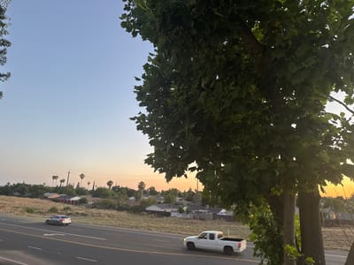The image shows a residential area in North Highlands, California, USA, during sunset. A large tree with dark green leaves dominates the foreground, partially obscuring the view of a residential street and a highway. On the highway, a silver sedan and a white pickup truck are visible. The background features houses with various roof colors, palm trees, and power lines against a pale orange and blue sky. The dry, golden grass on the embankment adjacent to the highway suggests a warm climate.