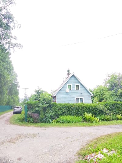 This is a vertical, medium-shot, outdoor photograph of a light blue, two-story house with a pitched roof, set behind a neatly trimmed green hedge. The house has several windows, some with white frames, and a satellite dish mounted on the left side of the upper story. To the left of the house, a dirt road curves away from the foreground. A dark-colored SUV is parked on the side of the road, facing away from the camera, near a green fence that runs along the edge of the property.

The foreground of the image shows the dirt road and adjacent green grass. Behind the hedge, there are various green plants, including ferns and taller leafy bushes. To the far left, tall trees with green foliage line the road. In the upper portion of the image, the sky is bright and appears washed out, suggesting a very overcast day or overexposure.

The scene depicts a rural or semi-rural setting, likely a residential property in Снопок Новый, Russia. There are no people visible in the image. The overall impression is one of a quiet, peaceful, and somewhat understated domestic scene. The time of day is unclear due to the bright sky, but the lighting suggests daytime. There is no visible text in the image.