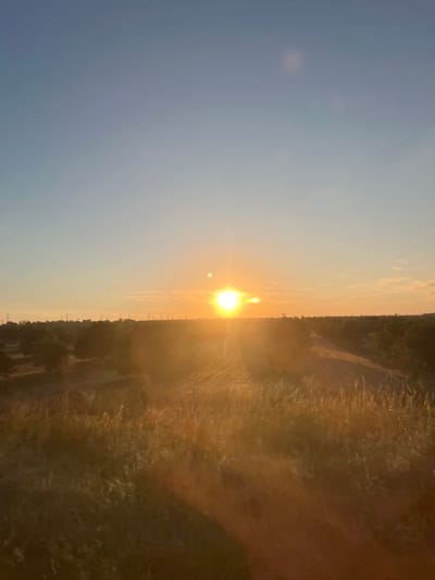 The image depicts a sunset over a rural landscape, likely in the vicinity of Suklieia, Moldova. The sky is a gradient of clear blue at the top, transitioning to pale yellow and orange near the horizon. The sun, a bright, intense orb, is positioned slightly to the left of the center of the frame, casting a warm glow. There are faint wisps of clouds scattered across the sky.
The foreground is dominated by dry, golden grass, with some stalks catching the sunlight and appearing to shimmer. Beyond the grassy area, the terrain slopes down to a cultivated field, possibly with rows of crops visible. Further in the distance, a line of trees forms a dense, dark silhouette against the brightly lit horizon. Scattered amongst the trees and along the horizon are utility poles with electrical lines, suggesting the presence of human infrastructure. The overall impression is one of a serene, natural landscape bathed in the soft, diffused light of the setting sun. There are no people or animals visible in the image.
