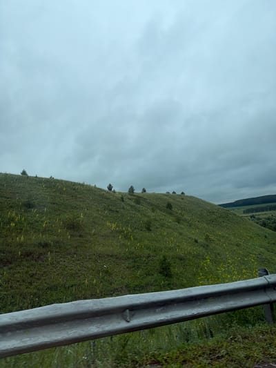 The image shows a slightly overcast sky above a rolling green hillside dotted with scattered yellow wildflowers and small evergreen trees. A weathered metal guardrail runs across the foreground, suggesting the perspective is from a roadside. The hillside slopes upward and to the left, with the background showing a darker, tree-covered hill in the distance. The scene appears to be a rural or natural landscape, potentially on the outskirts of Анновка, Russia.