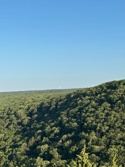 A wide, high-angle shot captures a dense, undulating forest of green trees stretching across a rolling hillside under a clear, bright blue sky. In the distance, on the horizon above the treeline, are two white wind turbines. One is closer and more to the right, its blades visible against the sky. The second is further to the left and appears smaller. The foreground shows the texture of the trees, with shadows creating depth and highlighting the foliage. No people or specific structures are visible within the forested area itself. The scene suggests a rural or natural landscape outside of an urban setting. The provided context indicates the location is in the city of Pryvorottia Druhe, Ukraine.