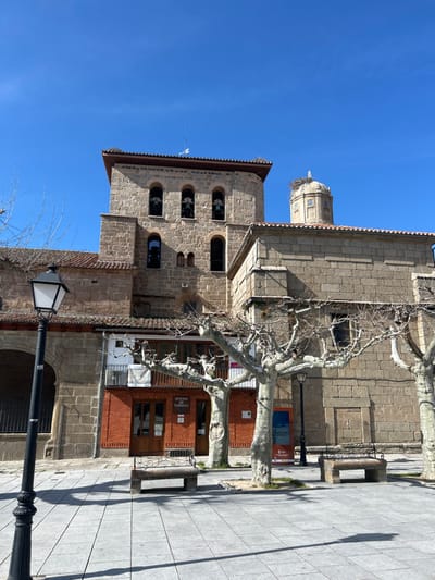 The image displays a clear daytime scene of a public plaza bordering a historic stone building complex in Piedrahíta, Spain. The central structure is a multi-story edifice constructed from rough-hewn, light brown and grey stone blocks. A prominent square bell tower rises on the left, featuring a reddish-brown tiled roof and three visible arched openings, each housing a bell. To the right of the bell tower, a lower section of the building includes a domed cupola topped with a large, visible stork's nest. Below the bell tower, a two-story extension is visible, with a red brick ground floor containing a doorway and a sign reading "Oficina de Turismo" (Tourist Office), surmounted by an upper level featuring a white balcony railing.
The plaza floor consists of light grey square paving stones. Several deciduous trees with bare, gnarled branches are interspersed across the plaza, planted within square cutouts in the pavement. Two traditional black lampposts with white luminaires stand upright in the foreground and midground. At least two stone benches with ornate black metal backs are positioned on the plaza. Long shadows are cast across the paved surface, indicating direct sunlight. The sky above is clear and bright blue, devoid of clouds. No individuals or active subjects are present in the scene.