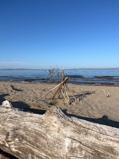 This is a vertical, eye-level, medium shot of a beach scene on a clear day. In the foreground, a large piece of bleached driftwood lies horizontally across the bottom of the frame, occupying roughly the left third of the image. Its surface is textured with weathered grain and knotty imperfections. The sandy beach stretches into the midground, marked by subtle undulations and shadows cast by the sun. Center-frame, a makeshift teepee-like structure is constructed from several thin, dry branches, planted upright in the sand and leaning against each other at the top. Some sparse, dry foliage is attached to these branches. To the right of this structure, a smaller, lone stick stands vertically in the sand. In the background, the calm, blue water of a large body of water, likely a lake or sea, extends to the horizon. Gentle waves are visible, lapping at the shoreline. Distant, hazy hills or mountains form the horizon line, under a vast, cloudless, bright blue sky. The overall impression is one of a tranquil, natural environment.