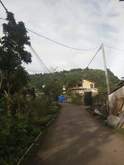A narrow, asphalt road winds uphill, flanked by lush vegetation on the left and a stone wall with scrap materials on the right. A house with a brown roof and yellow walls sits halfway up the hill. Overhead, power lines stretch across the sky, connecting to a utility pole on the right. Dense trees and shrubs cover the hillside, with a small structure visible at the very top, all beneath a partly cloudy sky.
