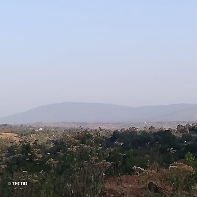Hazy vista reveals a landscape of rolling hills and scattered vegetation. A distant mountain range, pale and indistinct, sits beneath a muted sky. The foreground is dominated by dense clusters of green foliage interspersed with patches of dry earth. Small white blooms dot the verdant scenery, adding subtle detail. The image suggests a warm, rural setting, captured on a clear yet somewhat obscured day. A watermark in the corner indicates the device of origin.