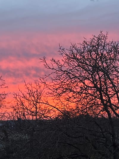 The image shows a dusk or dawn scene with a tree silhouetted against a colorful sky. The sky is predominantly pink and orange, with a strip of grayish-blue visible on the left side. The tree is leafless, with many bare branches creating a dense network against the sky. The bark of the tree trunk is dark and textured. The location in Foetz, Luxembourg is not discernible based on the provided image. There are no people visible in the image. The scene appears to be static with no discernible actions or interactions.