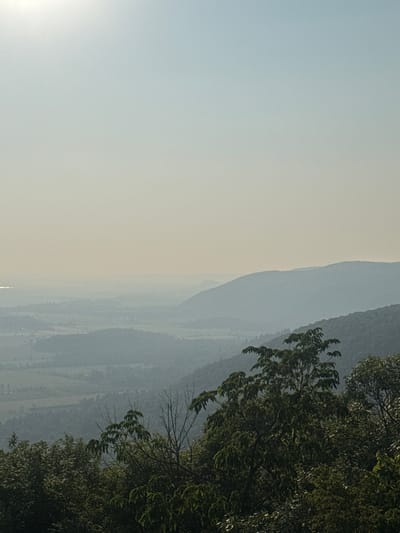 An expansive, hazy vista depicts rolling hills and a valley under a pale, washed-out sky. In the foreground, dense green foliage of trees and bushes occupies the lower portion of the frame, with their branches reaching upwards. Behind the immediate vegetation, progressively more distant hills recede into the atmospheric haze, taking on muted blue and gray tones. The landscape suggests an elevated viewpoint overlooking a valley with agricultural fields or scattered development, barely discernible through the haze. There are no people or specific objects clearly identifiable in the scene. The location is the city of Pontiac, Canada.