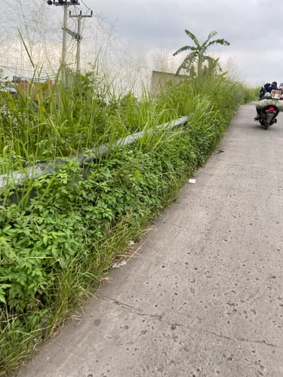The image shows a roadside in Kecamatan Margaasih, Indonesia, at the coordinates -6.965 latitude and 107.544 longitude. A concrete sidewalk is partially visible on the right side of the image. A metal railing is partially visible along the edge of the sidewalk. The railing is overgrown with tall green grasses, with shorter green plants and bushes growing at the base. A motorcycle is driving away from the viewer on the sidewalk. The motorcycle is carrying a passenger and some cargo. The sidewalk is slightly faded and has small gray stains. The background is out of focus, but it appears to show tall grasses, trees and a white building. The sky is gray and overcast. The overall scene is relatively quiet, with no indication of heavy traffic or activity. There are no people other than the motorcyclist.