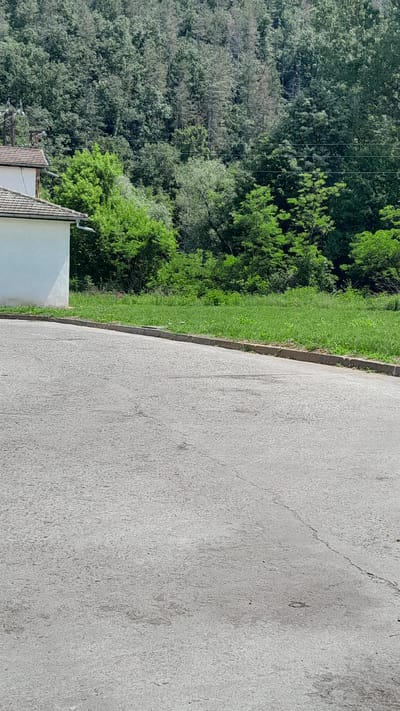 The image depicts an outdoor scene in Dalbok Dol, Bulgaria. In the foreground, a light gray asphalt road with a textured surface and visible cracks occupies the lower half of the frame. A low concrete curb separates the road from a strip of green grass and vegetation. Beyond the grass, a white building with a tiled roof is partially visible on the left. The background is dominated by a dense, lush forest with varying shades of green foliage. The trees extend upwards, covering the hillside and the upper portion of the image. Power lines are visible strung between poles in the upper left quadrant, suggesting the presence of infrastructure in the vicinity. The overall scene appears to be a quiet, natural setting with residential elements.