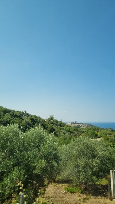 The image captures a scenic view of Neos Panteleimonas, Greece, under a clear blue sky. In the foreground, lush green olive trees dominate, with their dense foliage creating a vibrant contrast against the earth and the background. The trees are well-established, suggesting a cultivated area.

The mid-ground is characterized by a verdant, hilly landscape densely covered with trees and vegetation, indicative of the natural topography of the region. A winding dirt path or road is visible, cutting through the greenery.

In the distance, perched on a hilltop, a historical stone fortress or castle complex is clearly visible. Its sturdy construction and elevated position suggest a strategic historical significance. Beyond the fortress, the deep blue expanse of the sea stretches out, meeting the horizon under the bright sky. The overall scene conveys a sense of historical depth and natural beauty. There are no people visible in the image.
