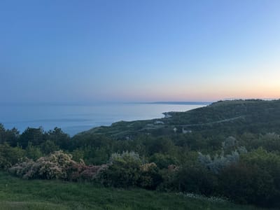 The image depicts a serene coastal landscape at dusk, overlooking the Black Sea from a hilltop in Topola, Bulgaria. The sky transitions from a deep blue at the zenith to lighter shades of blue and pink near the horizon, indicating the fading light of day. The sea is calm and reflects the soft sky colors. The foreground is dominated by lush green grass and a variety of trees and bushes, some of which bear fluffy, light-colored blooms, characteristic of smoke bushes in bloom.
The midground features a rolling, tree-covered hillside that slopes down towards the sea. A winding road with a few visible vehicles can be seen traversing the hillside, suggesting human presence and infrastructure within the natural setting. The coastline is rugged, with white chalk cliffs visible in some areas. In the distance, along the coast, there are clusters of buildings, possibly indicating a village or resort town. The overall atmosphere is peaceful and tranquil, capturing the beauty of nature at the end of the day.