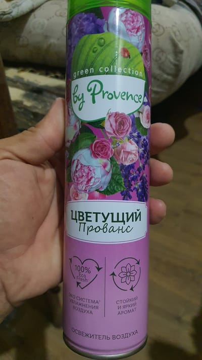 A person's hand is holding a can of air freshener. The can features a floral design with peonies and lavender, and the text "green collection by Provence" and "ЦВЕТУЩИЙ Прованс" (Blooming Provence) in Russian. Below this, there are icons indicating "100% Eco Fresh" and a flower with recycling arrows, along with Russian text describing "eco system," "moisturizing," and "lasting and bright aroma." The bottom of the can has the Russian text "ОСВЕЖИТЕЛЬ ВОЗДУХА" (Air Freshener). The background is blurred and appears to be an indoor setting with furniture. The image does not provide any information about the city of Karankul, Uzbekistan, or its context within the city.