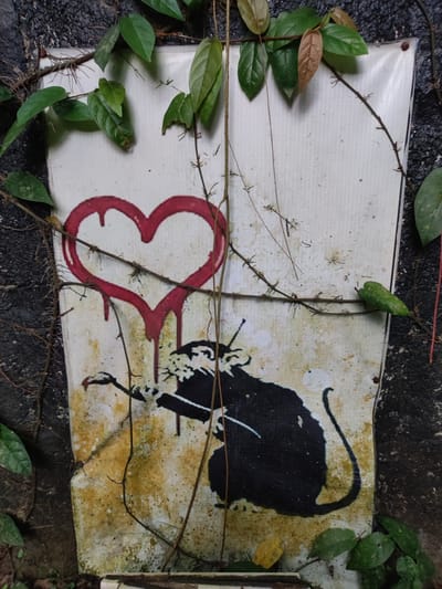 The image shows a weathered street art piece in Bedulu, Indonesia. The artwork, painted on a white sheet-like material, features a red heart with dripping paint above a black silhouette of a rat holding a paintbrush. The artwork is partially obscured by creeping vines and leaves, suggesting outdoor placement and exposure to the elements. The background consists of a rough, dark surface, possibly a wall or rock formation, further indicating an exterior urban setting. The artwork appears to be deteriorating due to age and environmental conditions.