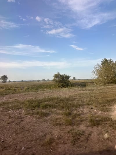 The media file captures a landscape scene in Novonikolaevka, Russia, likely during daytime given the bright sky. The image is oriented vertically, showing a clear blue sky with wispy white clouds on the left side, occupying about half of the frame. The right side of the image features a grassy field with dry, brownish vegetation, suggesting a late summer or early autumn setting. A line of trees is visible in the distance, forming a horizon line with the sky. Some scattered trees and bushes are also present in the foreground and mid-ground of the grassy area. The ground itself appears to be a mix of soil and dry grass. There are no people or specific objects of interest, and no text is visible in the image. The overall impression is one of a natural, open rural landscape under a bright sky.