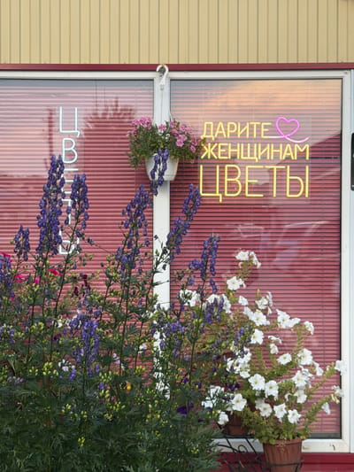 A shop window displays a neon sign in Russian, which reads "DARITE ZHENSHCHINAM TSVETY" (Give Flowers to Women), with a neon heart symbol. The window is covered by closed red blinds. In front of the window, various potted flowers are visible, including tall purple aconitum flowers on the left and white petunias on the right. The shop building has yellow siding above the window. The location is the village of Vikulovo, Russia.