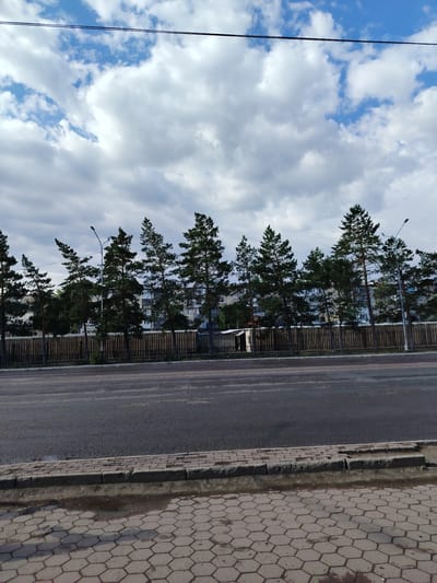 A street scene in Temirtau city administration, Kazakhstan, features a road in the foreground with hexagonal paving stones and a concrete curb. Beyond the curb, a row of tall pine trees stands in front of a long, wooden fence. In the background, apartment buildings rise behind the trees, and a cloudy sky with patches of blue completes the scene. A single lamppost is visible among the trees. There are no people or vehicles present in the image.