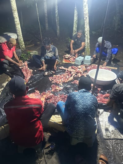 This image depicts an outdoor night scene in Teungkudibandapirak, Indonesia, illuminated by artificial light. Approximately eight adult males are engaged in butchering and processing raw meat laid out on a large black plastic tarp covering the ground.
Several men, dressed in casual clothing including t-shirts and long-sleeved shirts, are squatting or sitting on low stools around piles of meat. In the foreground, a man in a red long-sleeved shirt and dark pants is seated on a low stool, facing away from the camera, positioned next to a portion of meat. To his right, another man in a blue patterned long-sleeved shirt and blue pants is also seated on a low stool, similarly facing away, with more processed meat near him.
Various cuts of raw meat, including muscle tissue and bone, are spread across the black tarp. Some larger sections of an animal carcass are visible, along with numerous smaller, cubed or sliced pieces of meat in distinct piles. Knives or cleavers are being used by multiple individuals to cut and separate the meat. One large white, shallow basin is positioned near the center-right, adjacent to a pile of meat.
The background features several tall, slender trees with light-colored bark, suggesting a wooded or semi-rural environment. The ground surrounding the tarp appears to be bare earth. The artificial lighting creates strong highlights and shadows across the scene, indicating a localized light source. Two empty clear glasses are visible on the ground in the lower right corner.