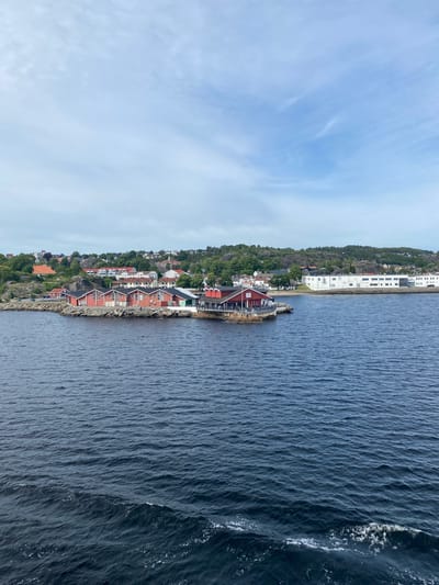This is a rotated landscape image of a coastal town in Larvik, Norway. The scene depicts a town nestled along a rocky coastline, with buildings primarily in shades of red and white, many featuring traditional architectural elements with red roofs and white trim. The town is backed by a lush, green, tree-covered hillside.
The water body to the right of the town is a dark blue, appearing choppy with white foam and waves breaking near the shore, suggesting movement and perhaps a moderate breeze. The sky above is a pale blue with wispy, white clouds, indicating it is daytime, likely late morning or early afternoon, with fair weather conditions.
In the foreground, several houses are visible along the water's edge, some with docks. A larger white building with many windows is situated further up the hillside. The overall impression is of a picturesque, lived-in coastal community. There is no visible text in the image.
